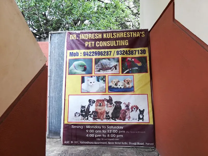 Dr Indresh Kulshrestha – Pet Clinic photo