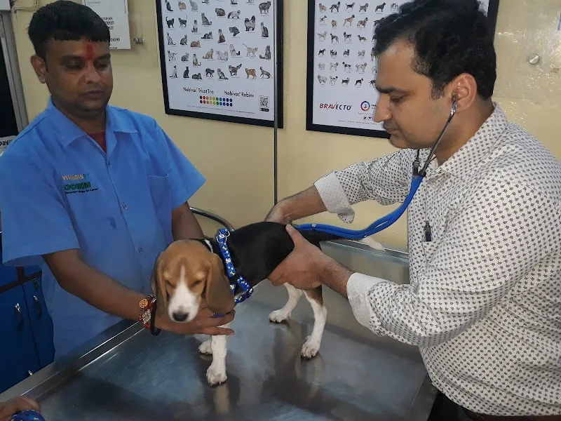Dr. Jain’s Pet Clinic photo
