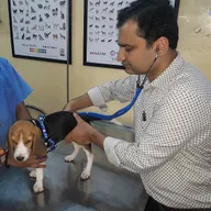 Dr. Jain’s Pet Clinic photo