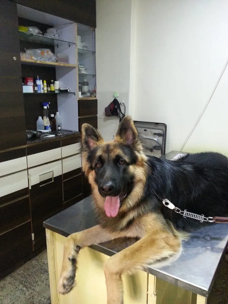 Dr. Katre’s Pet Clinic Branch 1 photo