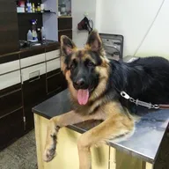 Dr. Katre’s Pet Clinic Branch 1 photo