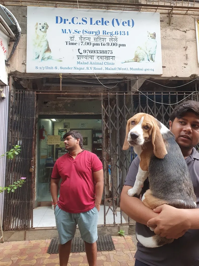Dr Lele Malad Animal Clinic photo
