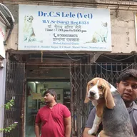 Dr Lele Malad Animal Clinic photo