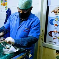 Dr Mohan Deshkar Pet Animal Clinic photo