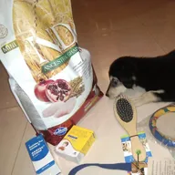 Dr. O’s Petshop and Petclinic @ Dombivli photo