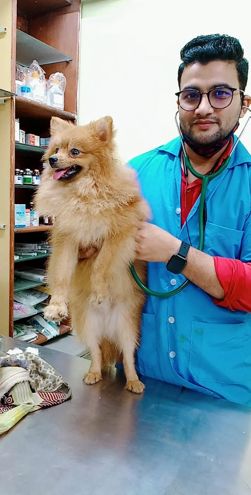 Dr Paw Home Vet | Dr Pet Vet on call | Pet Dr. at Home | Pet Vaccination at Home photo
