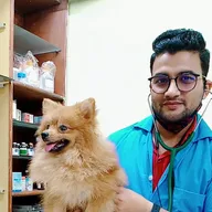 Dr Paw Home Vet | Dr Pet Vet on call | Pet Dr. at Home | Pet Vaccination at Home photo
