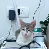 Dr. Paw Veterinary Clinic photo