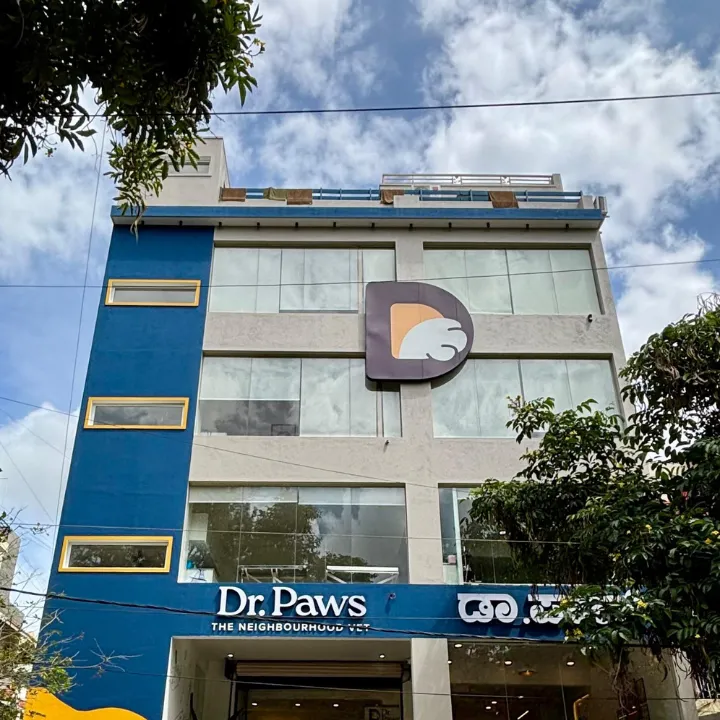 Dr. Paws RMV Dollars Colony | 24×7 Veterinary Hospital photo
