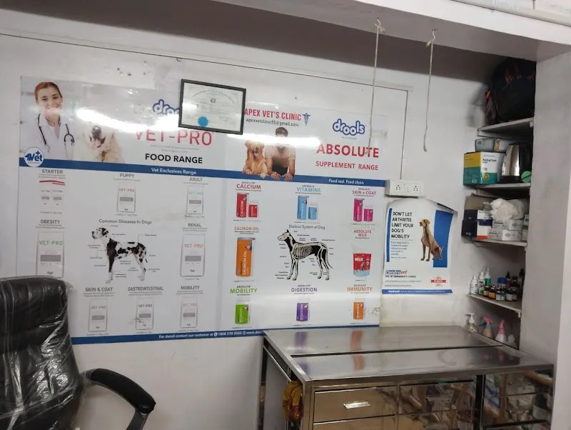 Dr Pet Vet on call | Home Vet | Pet Dr. at Home | Pet Vaccination at Home Bandra East photo