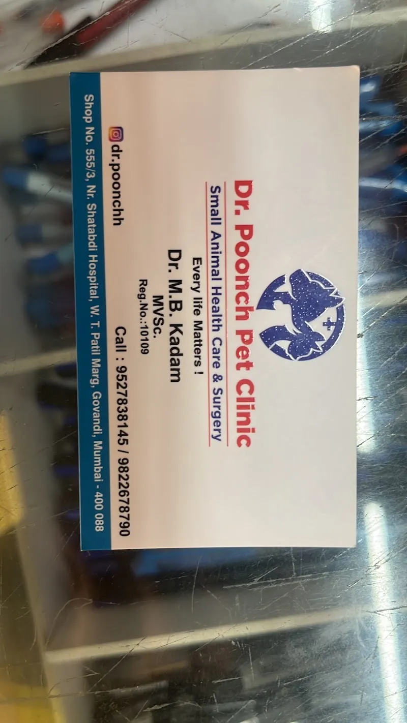 Dr poonch pet clinic photo