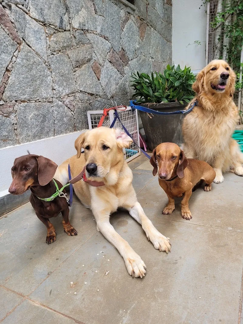 Dr Prasad’s Pet Clinic photo