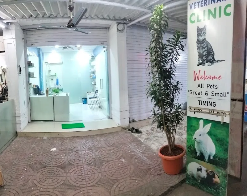 Dr Prashant’s Pet Animal Clinic l Veterinary Clinic – Seawoods Nerul west photo