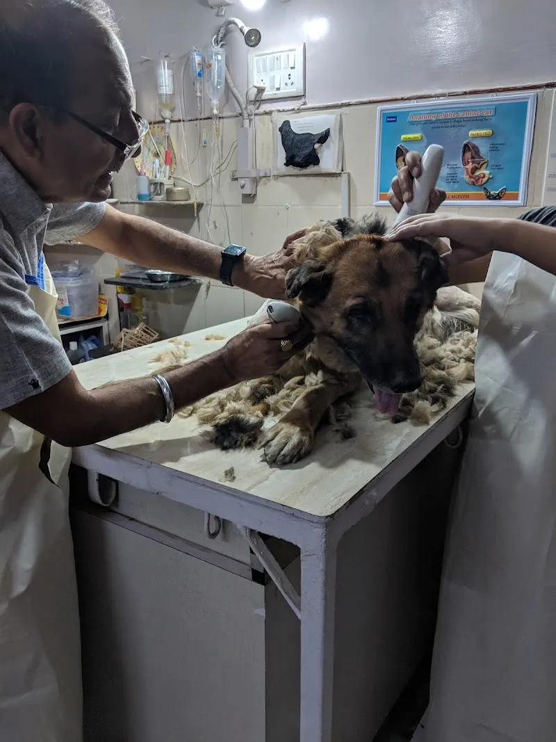 Dr. Puri’s Pet Clinic photo