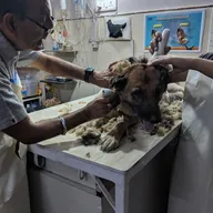 Dr. Puri’s Pet Clinic photo