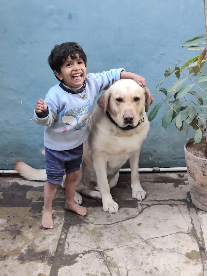 Dr Rakesh Mishra Pet Hospital photo