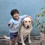 Dr Rakesh Mishra Pet Hospital photo