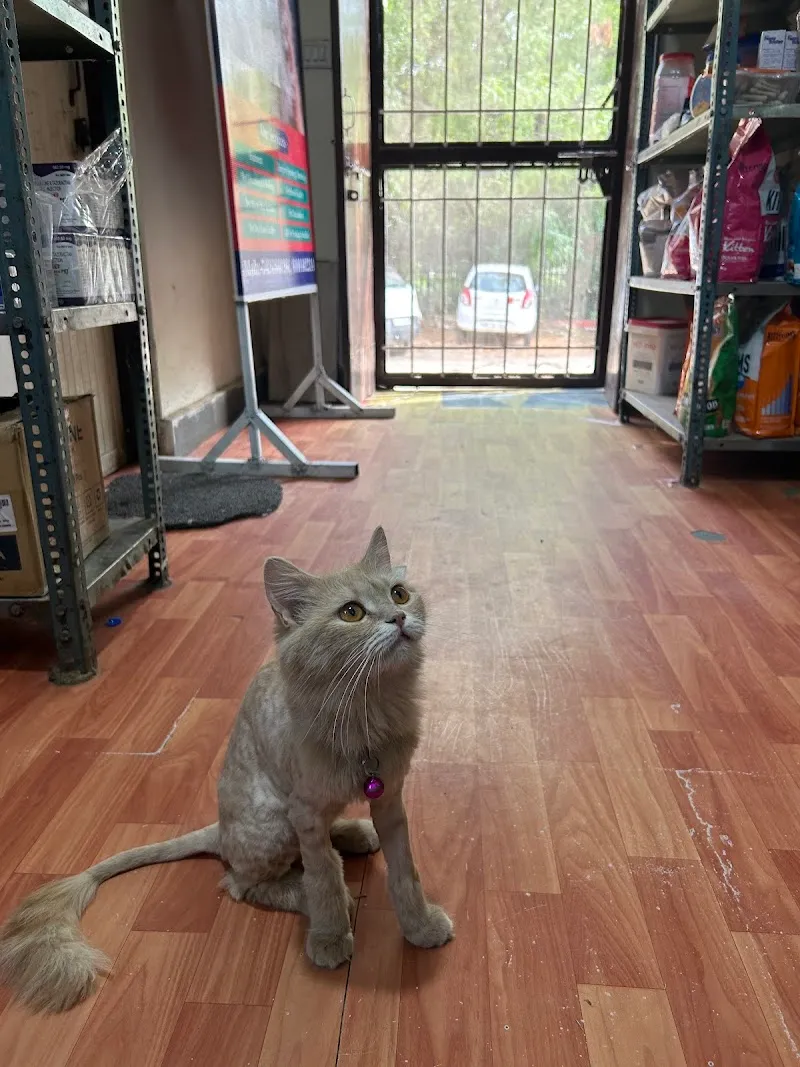 Dr. Ranveer Pet Hospital photo