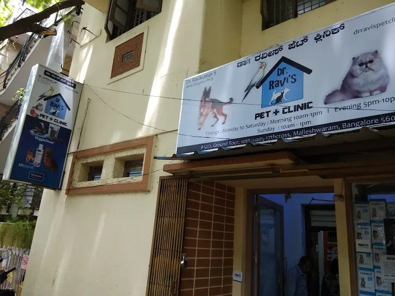 Dr. Ravi’s Pet Clinic photo