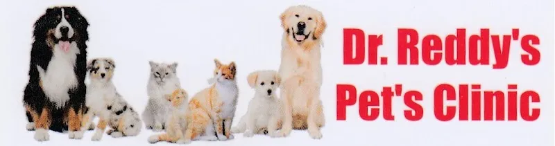 Dr. Reddy’s Pet’s Clinic photo