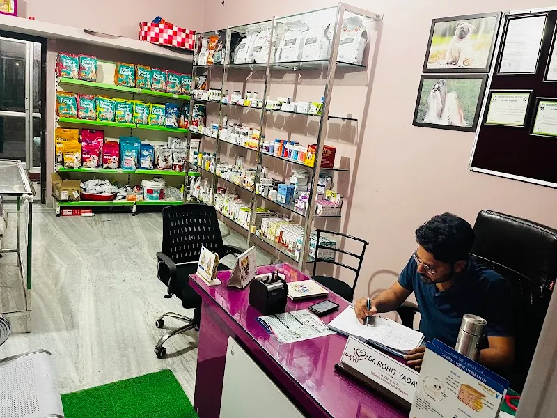 Dr.Rohit Pet Well Clinic photo