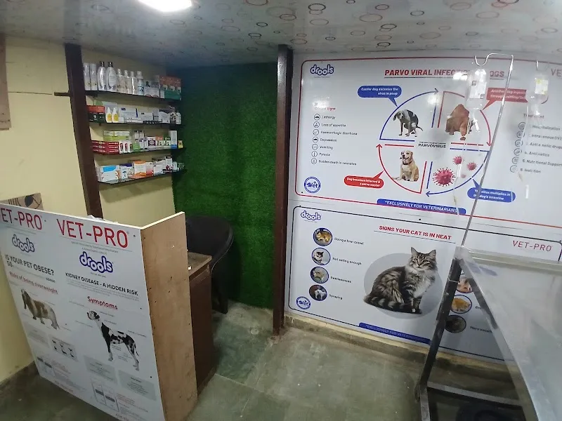 Dr Rutuja Bagwe’s Veterinary Clinic photo