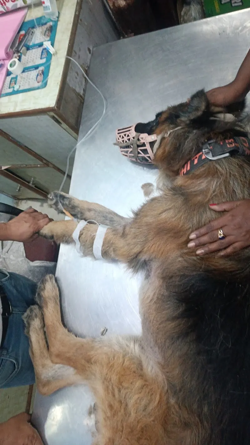 Dr. Sharma’s Pet Clinic photo
