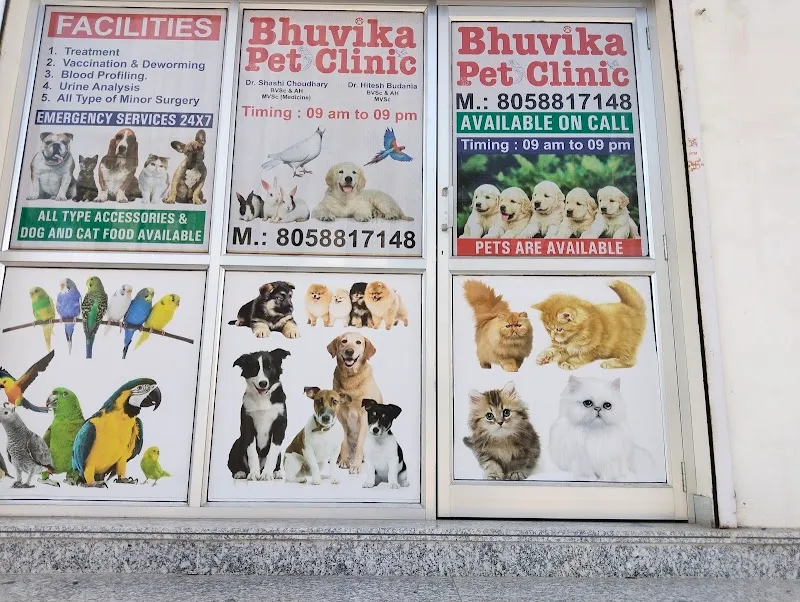 Dr SS PET CLINIC & Home service provider photo