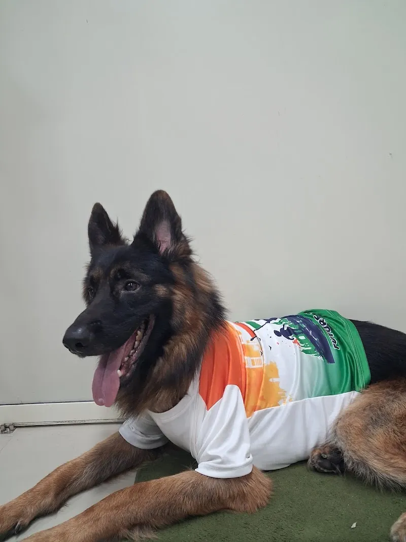Dr Varsha’s Pet’s Wellness Center photo