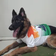 Dr Varsha’s Pet’s Wellness Center photo