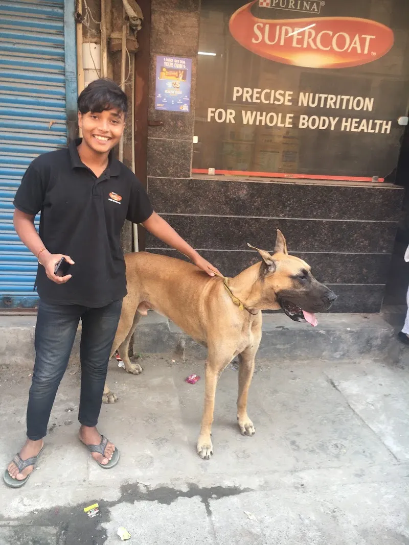 Dr. Vijay Pet Clinic photo