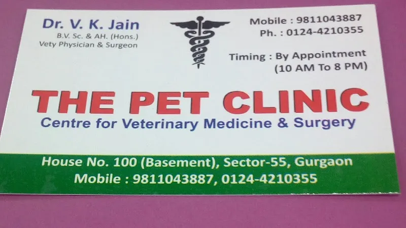 Dr. Vinay K Jain photo