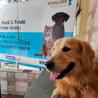 Dr. Vivek Pande’s Pet Clinic (Shastri Nagar) photo
