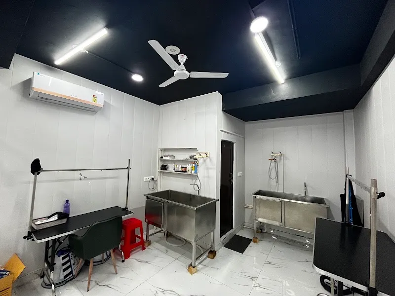 Dr. Whoof Pet Clinic – Dr. K. K. Gupta photo