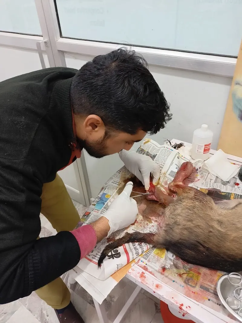 Dr. Yadav’s Pet Clinic photo