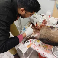 Dr. Yadav’s Pet Clinic photo