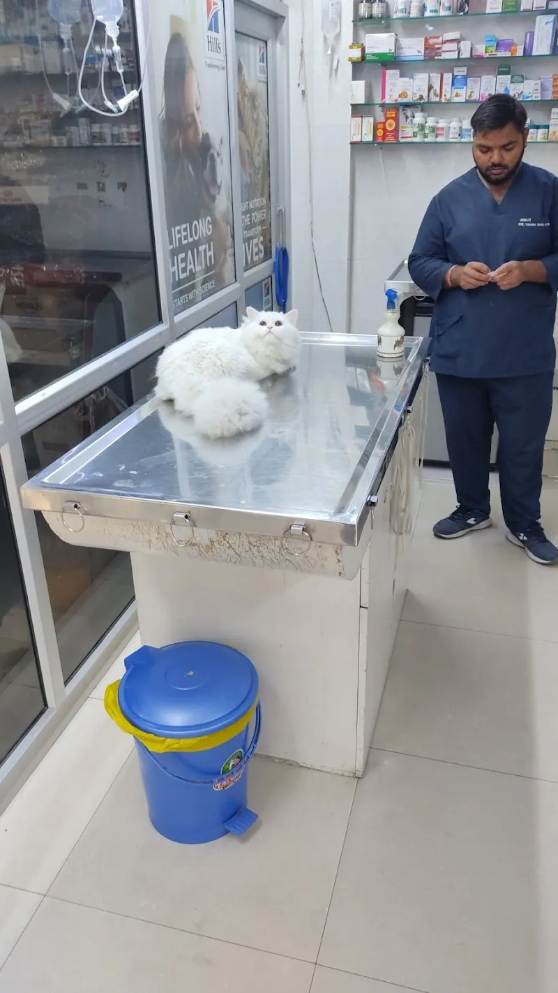 Dr Yadav’s Pet Clinic photo