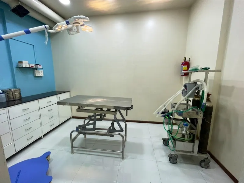 Dynamic Pet Clinic photo