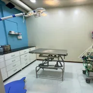 Dynamic Pet Clinic photo