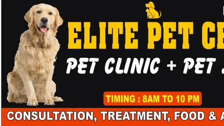 Elite pet Clinic photo