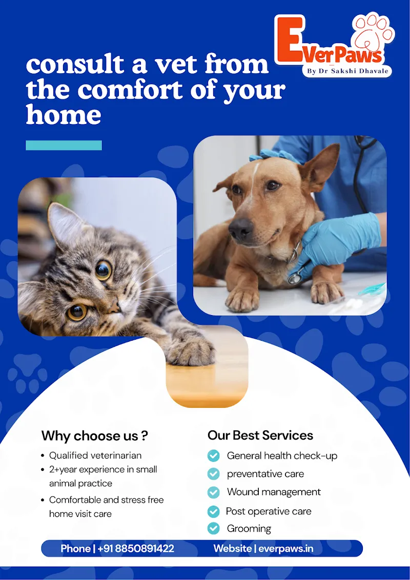 EverPaws Pet Clinic by Dr. Sakshi Dhavale | Home Visits only photo