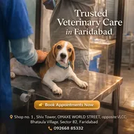 Faridabad Pet Clinic photo