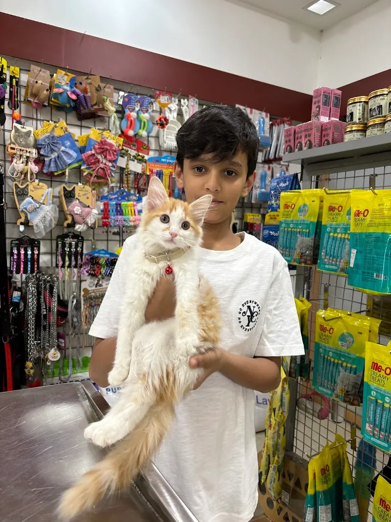 Fauna Veterinary Care photo