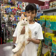 Fauna Veterinary Care photo