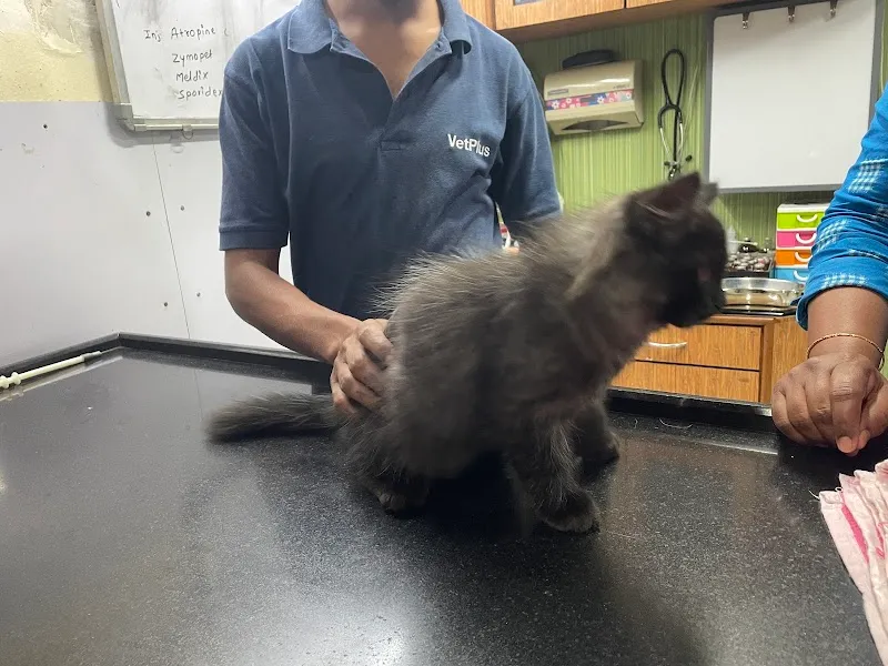 Fifth Sense Animal Health Care photo