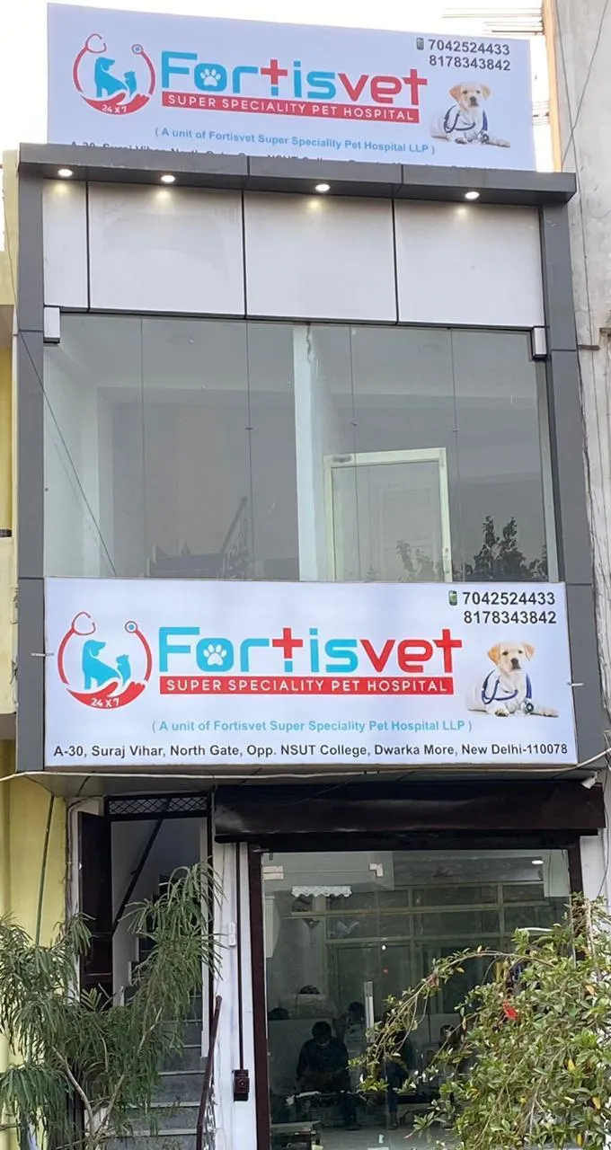 FORTISVET SUPER SPECIALITY PET HOSPITAL photo