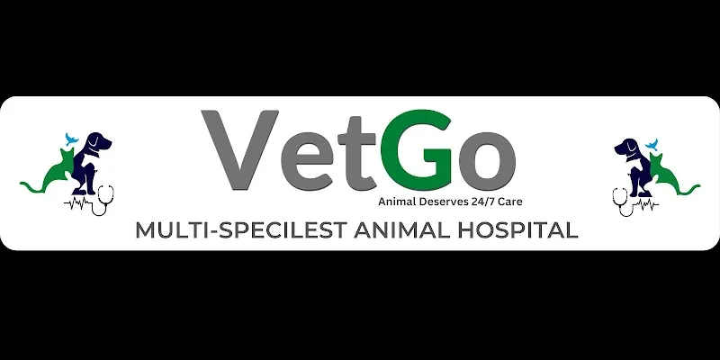 Free VetGo 24×7 Multi-Specialty Animal Hospital Pet Lab | Pet Vaccination | Pet Ambulance | Surgery | Pet Doctor Home service photo