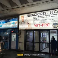 Friendicoes photo