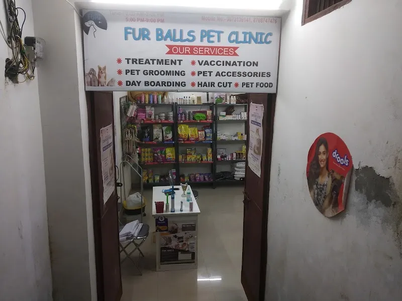 Fur balls pet clinic photo