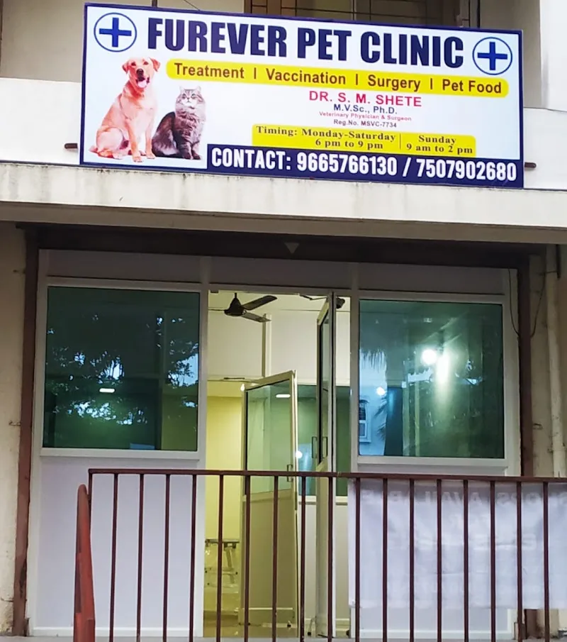 FUREVER PET CLINIC photo